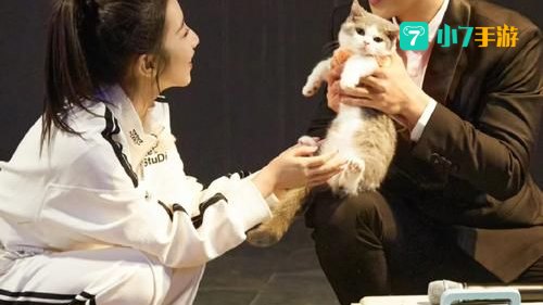求婚大作战下载