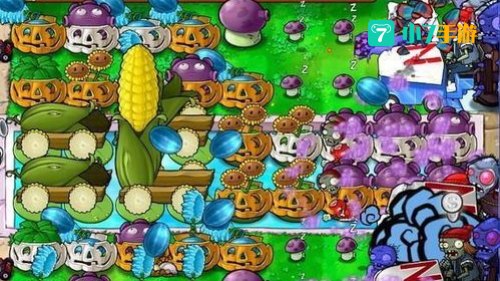 植物大战僵尸无尽版秘籍