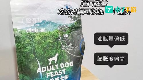 菲菲的狗粮