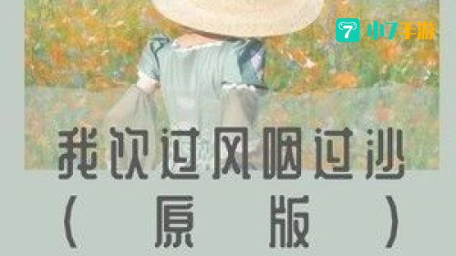饮过风咽过沙是什么歌