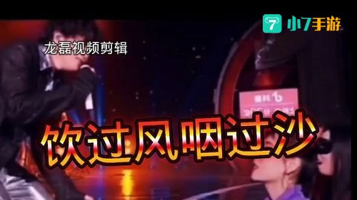 饮过风咽过沙是什么歌