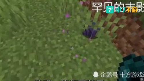 末影螨